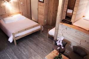 Room Le Grand Tetras Morzine