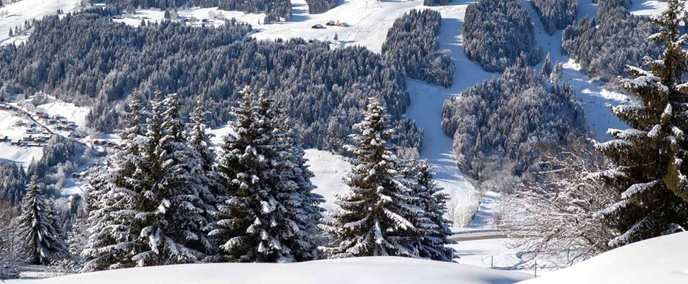 Location ski Hôtel Le Grand Tetras Morzine