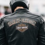 tetras-header-harley